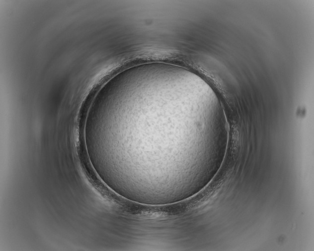 X0000094320582200711091343