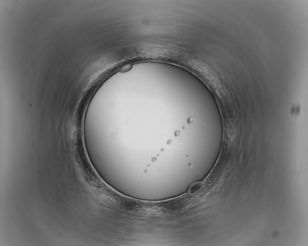 X0000094320583200711091343