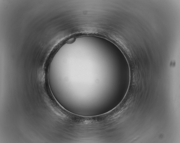 X0000094320584200711091343