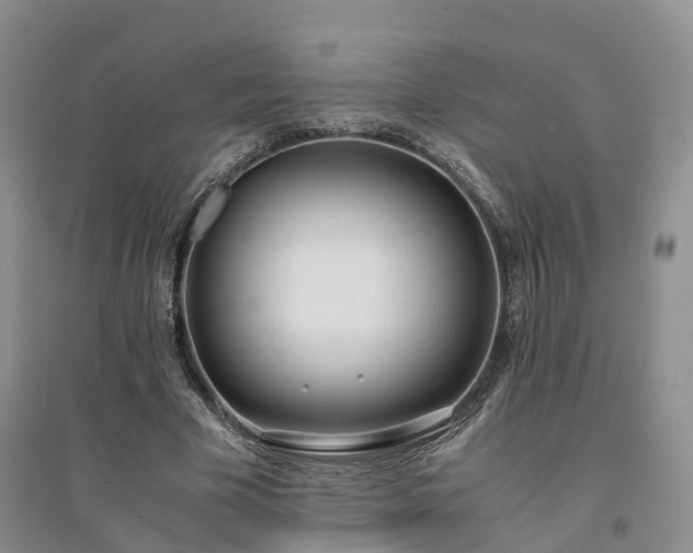 X0000094320585200711091343