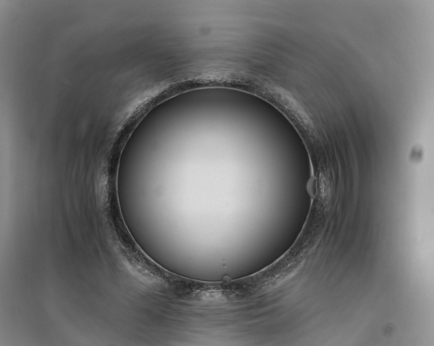 X0000094320588200711091343