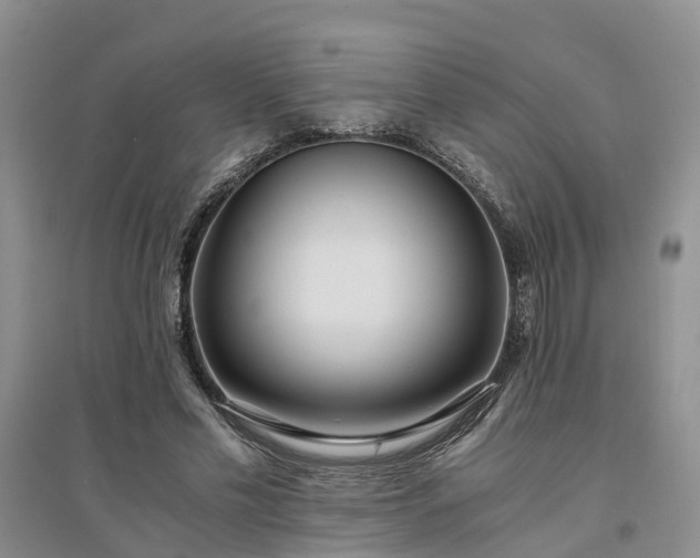 X0000094320589200711091343