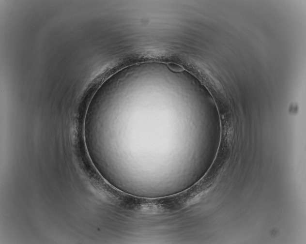X0000094320591200711091343