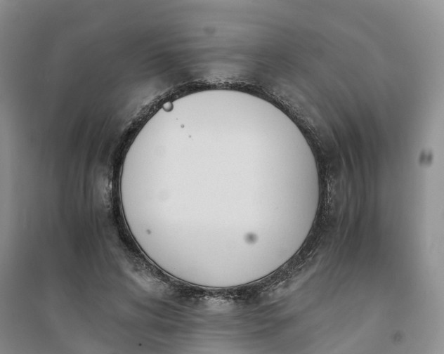 X0000094320592200711091343