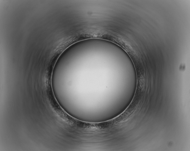 X0000094320594200711091343