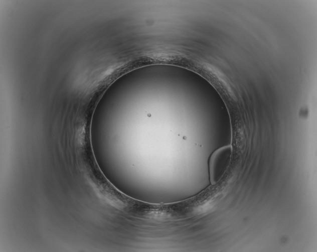 X0000094320596200711091343