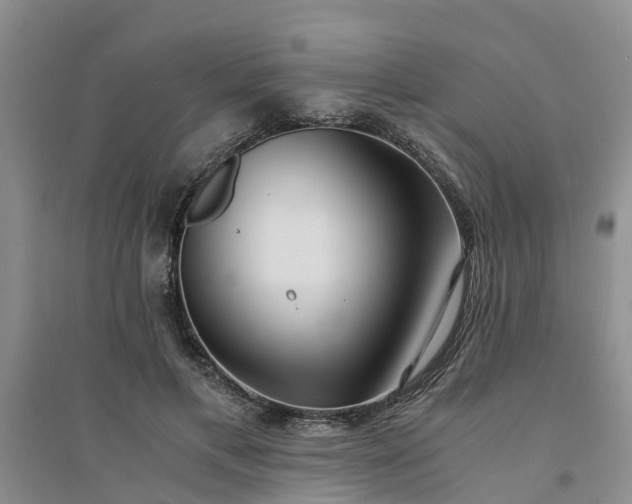 X0000094320597200711091343