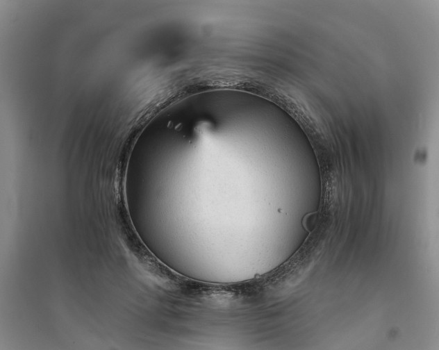 X0000094320598200711091343