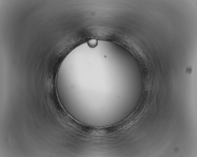 X0000094320599200711091343