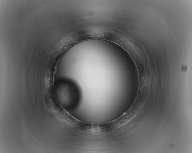 X0000094320600200711091343