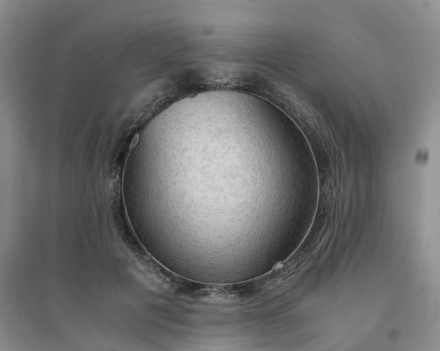 X0000094320601200711091343