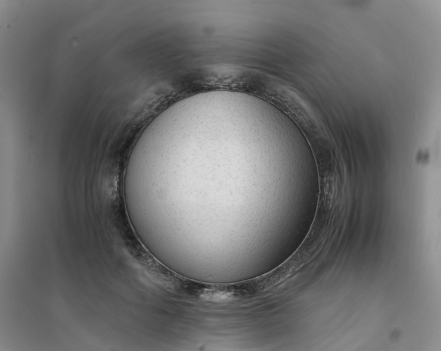 X0000094320602200711091343