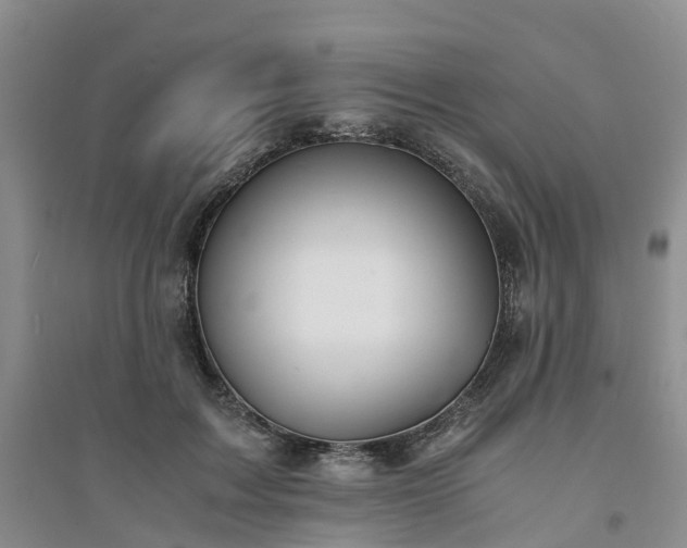 X0000094320603200711091343