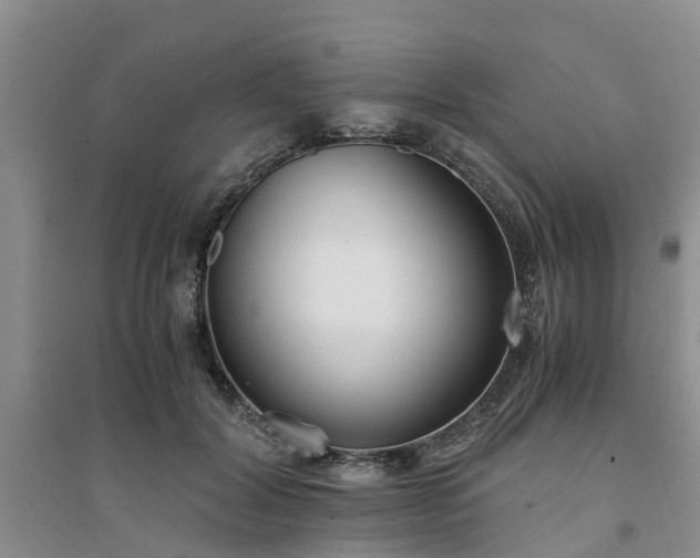 X0000094320604200711091343
