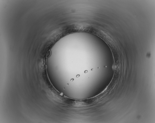 X0000094320605200711091343