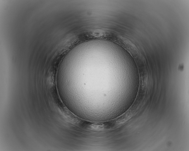 X0000094320606200711091343