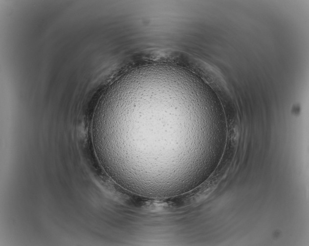 X0000094320607200711091343