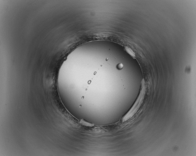 X0000094320608200711091343