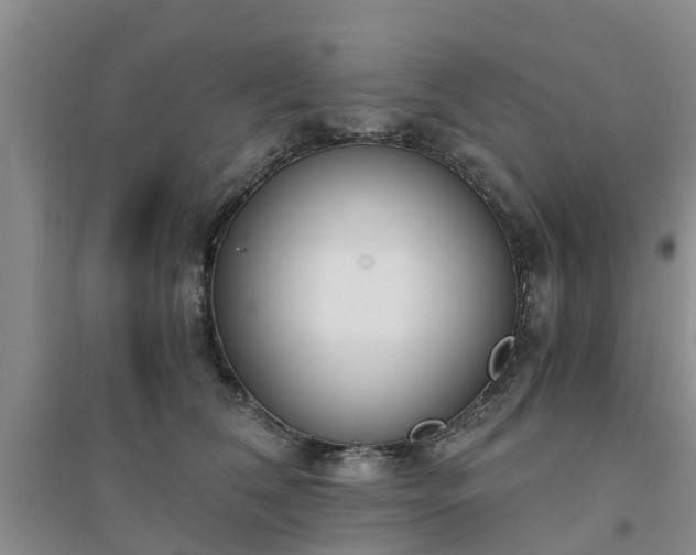 X0000094320612200711091343