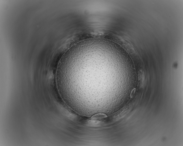 X0000094320614200711091343