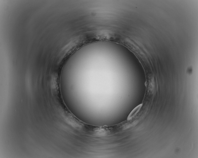 X0000094320616200711091343