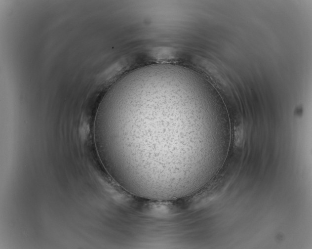 X0000094320618200711091343