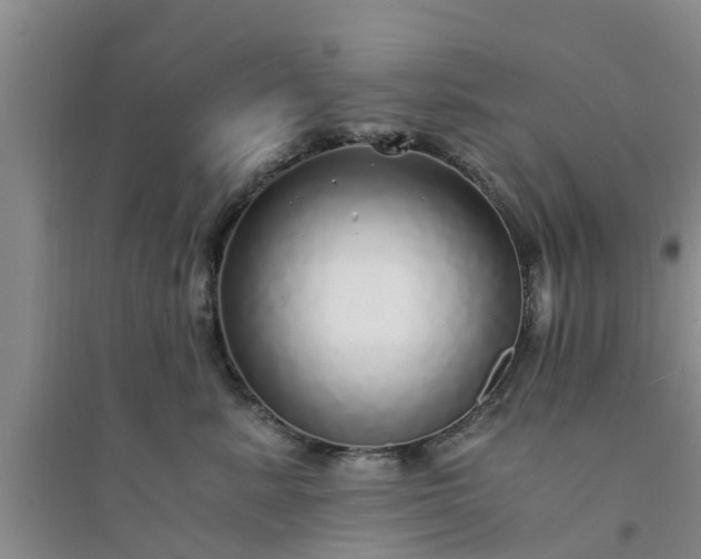 X0000094320619200711091343