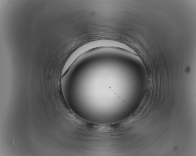 X0000094320621200711091343