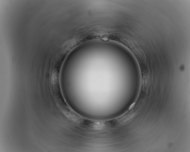 X0000094320623200711091343