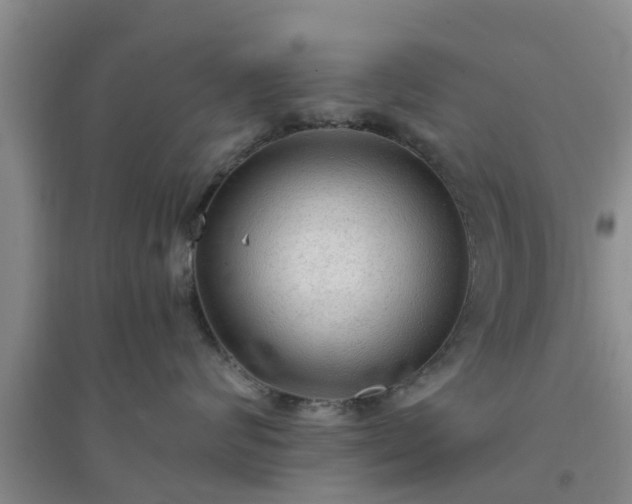 X0000094320624200711091343