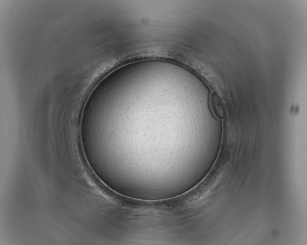 X0000094320625200711091342