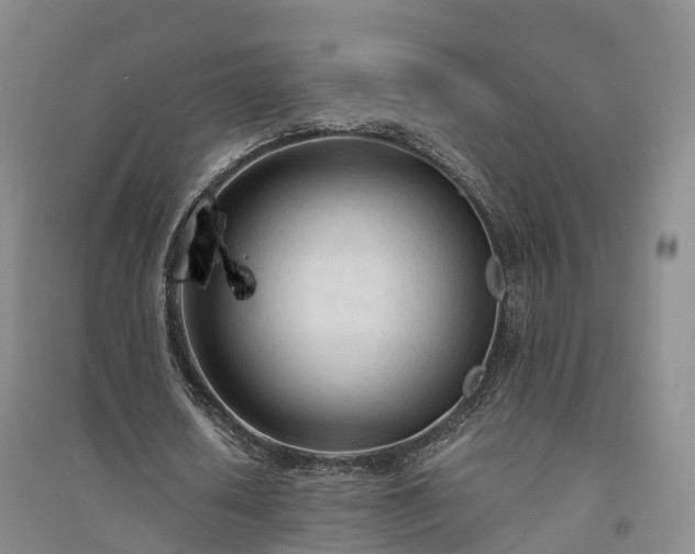 X0000094320626200711091342