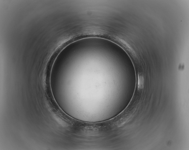 X0000094320627200711091342