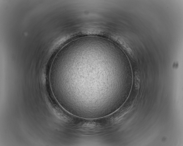 X0000094320631200711091342