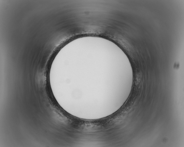 X0000094320632200711091342