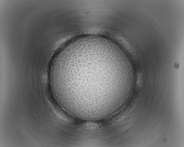 X0000094320636200711091342