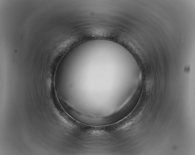X0000094320637200711091342