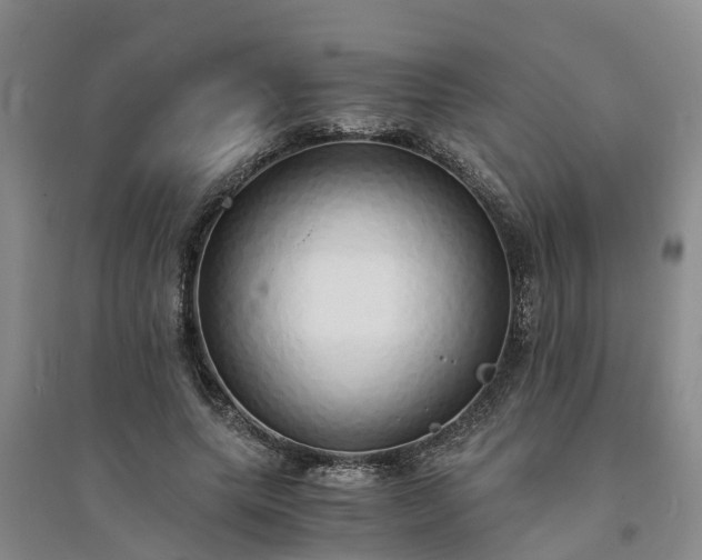 X0000094320639200711091342