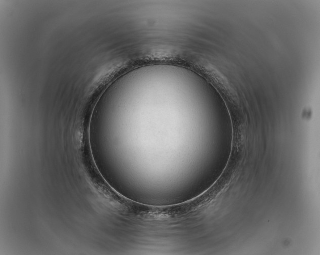 X0000094320640200711091342