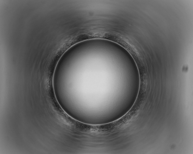 X0000094320641200711091342
