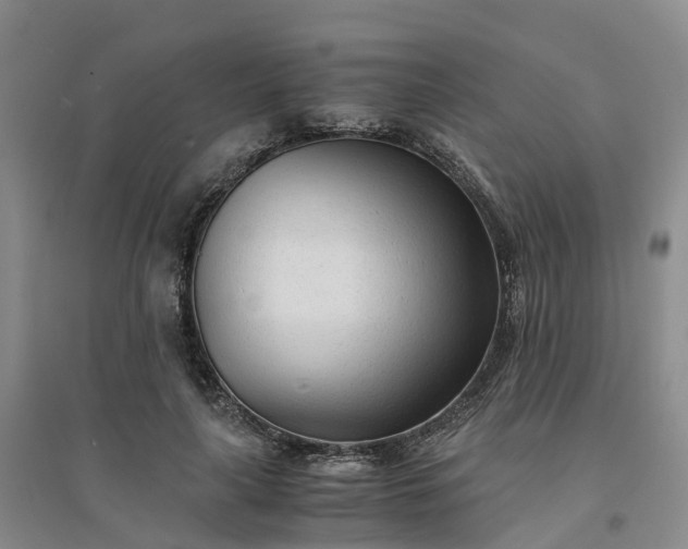 X0000094320643200711091342