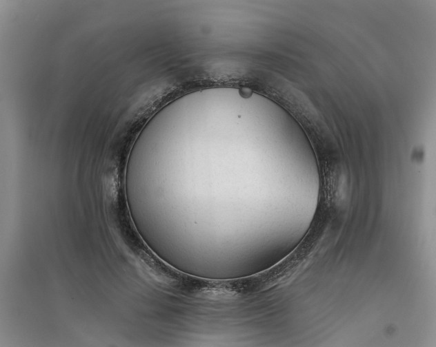 X0000094320644200711091342