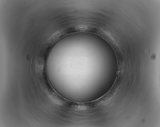 X0000094320645200711091342