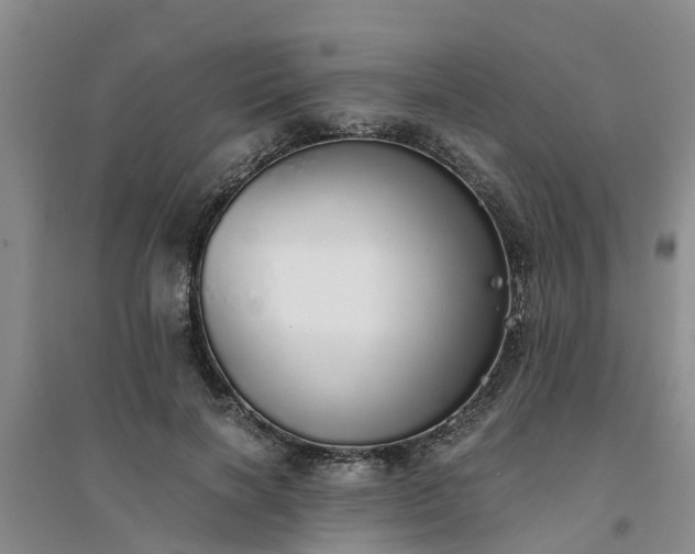X0000094320646200711091342