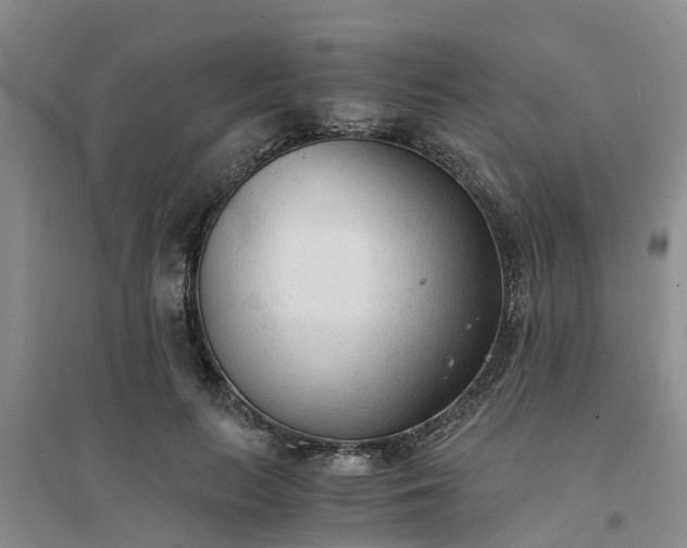 X0000094320647200711091342