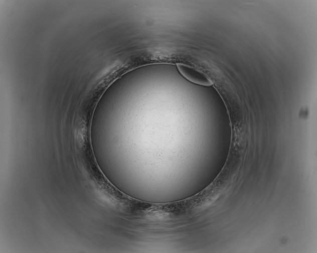 X0000094320648200711091342