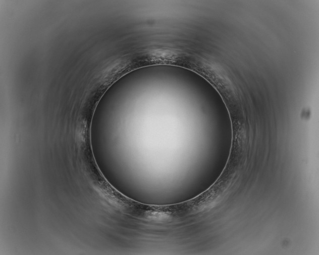 X0000094320649200711091342