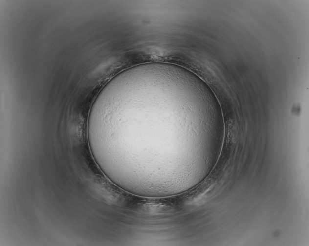 X0000094320650200711091342