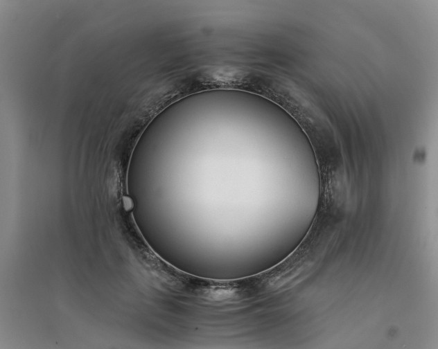 X0000094320651200711091342