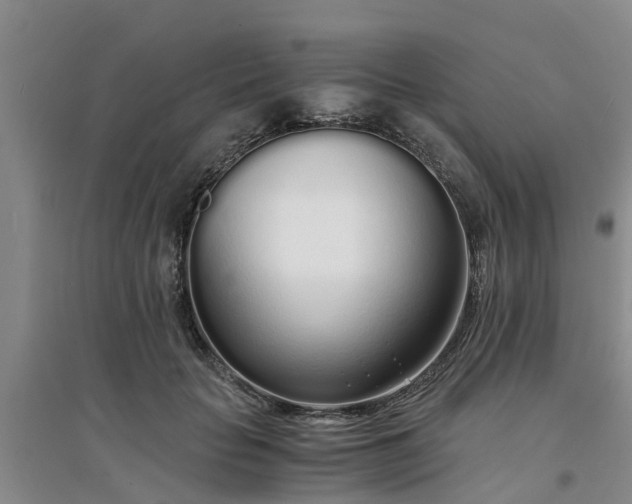 X0000094320653200711091342